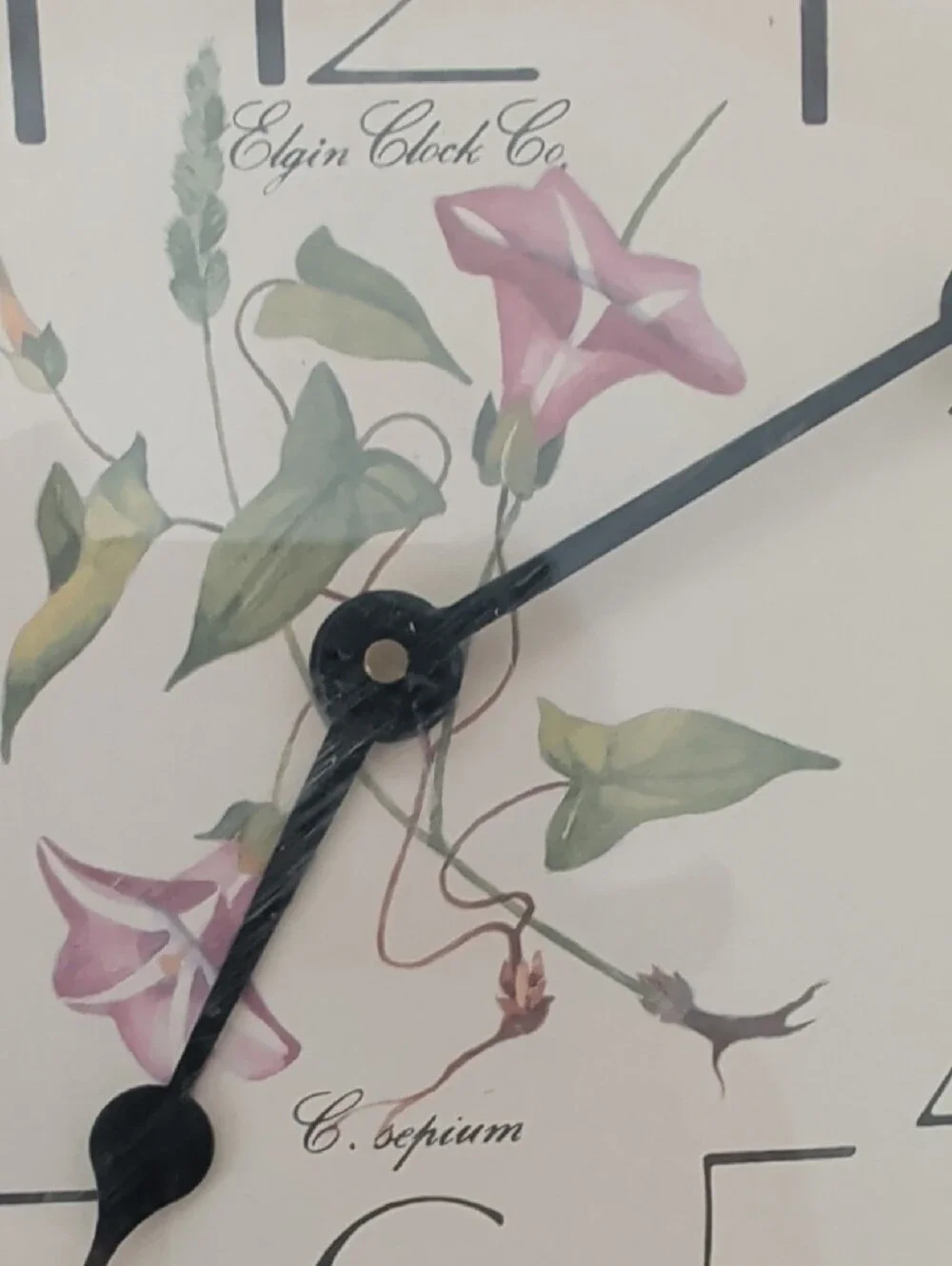 Vintage Elgin Floral Octagon Wall Clock - Brown Morning Glories